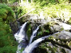 MontanaとWashingtonの公園巡り　7月16日　旅行10日目　Olympic NP-Sol Duc Falls-Madison Falls-Hurricane ridge-Hurricane Hills