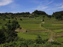 旅するイルカ♪　奈良県　明日香村　棚田へ