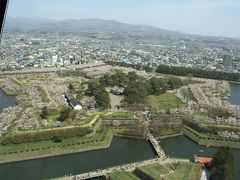 函館の桜