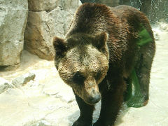 夫婦旅行】神戸王子動物園☆