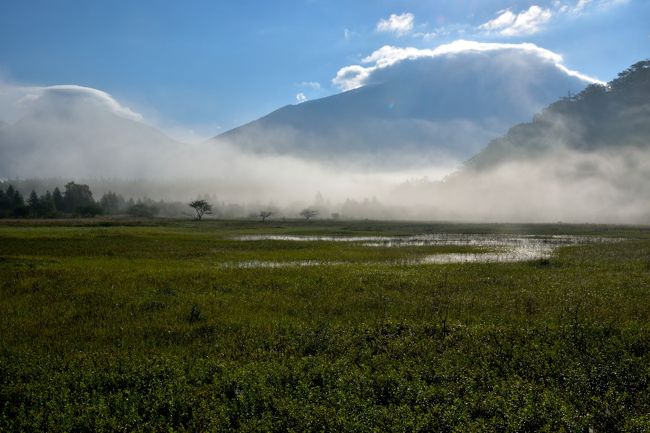 大雨直後の小田代ケ原と星降る戦場ケ原　～幻の小田代湖は出現しているか？～