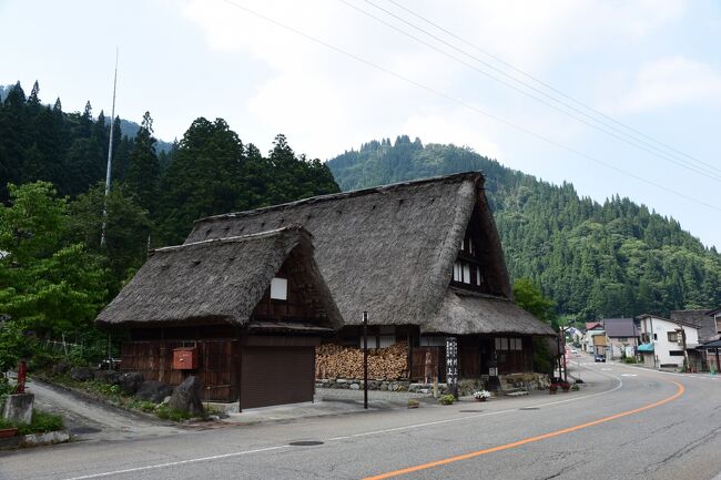 異常な猛暑の中、８月１日から２日にかけて富山と石川を訪れました。<br /><br />旅の行程<br />８月１日　五箇山：菅沼集落、相倉集落、上梨集落<br />８月２日　白山市白峰、加賀市加賀東谷<br /><br />岐阜県との県境に位置する富山県南砺市の五箇山は、険しい山地によって砺波平野から遮られ、かつては陸の孤島と呼ばれた日本有数の豪雪地帯で、江戸時代には加賀藩の流刑地として使われたほどの人里離れた、山深い集落です。<br /><br />冬には屋根を覆わんばかりに雪が降り積もり、人々は白銀に埋もれた生活を余儀なくされる、そんな集落を世に知らしめたのは、豪雪地帯の過酷な環境の下、養蚕を生業として生き抜くための生活の知恵から生まれた、巨大な合掌造り家屋です。<br /><br />家族総出で養蚕を行っていたが故に、３階建てから５階建ての巨大な建物にならざるを得なかった合掌造り家屋の特徴は、何と云っても６０度にもなる急勾配の茅葺屋根で、雪を滑り落として屋根にかかる雪の荷重を軽減する効果に加え、釘やかすがいなどの金物は一切使わず、荒縄だけで家屋全体の柱や梁を固定し、雪の荷重がかかっても家屋全体がたわむことで荷重を分散してくれる柔軟性にあります。<br /><br />このため、合掌造り集落には巨大な合掌造り家屋を守り育む、「結（ゆい）」と呼ばれる伝統的な相互扶助の文化が根付いており、急勾配の茅葺屋根の葺き替えも、この「結」によって住民総出で行われます。<br /><br />３世代にわたる複数世帯の大家族が一つ屋根の下で暮らす合掌造り家屋は、通常、１階部分は居住空間、２階以上は寝室もしくは養蚕の作業場として利用されており、養蚕の作業場に風が通りやすいようにと、集落内の家屋の妻側はこぞって同じ方向を向いて建てられています。<br /><br />また、五箇山の人里離れた土地柄に目をつけた加賀藩は、養蚕から派生する二次産業として、鉄砲に使用する黒色火薬の原料である塩硝の生産を奨励したことから、集落内の家々では、合掌造り家屋の内部で密かに塩硝を生産し加賀藩に献上していました。<br /><br />塩硝作りは、先ず蚕の糞と山で採れる様々な干し草を混ぜ合わせ、囲炉裏の下に掘った穴に埋め、囲炉裏の熱で５年程度発酵させます。<br /><br />こうしてできた塩硝土を水でろ過した後、さらに煮詰めて精製した塩硝を加賀藩の火薬製造工場に運び込み、そこで黒色火薬へと加工されていきました。<br /><br />最も多くの合掌造り家屋が存在した明治時代末期には、五箇山に加え、五箇山とともに合掌造り集落として名高い岐阜県の白川郷とを合わせると、１８５０棟もの合掌造り家屋が建ち並んでいましたが、昭和の高度経済成長期を迎えると、合掌造り家屋は次々と失われてしまいます。<br /><br />３５０棟以上の合掌造り家屋が建っていたと云われる、９つの集落を一気に飲み込んだ昭和３６年の御母衣ダムの完成や、より便利な生活環境を求めて集団離村により合掌造り家屋を廃棄する集落の発生等により、昭和４２年には１５４棟にまで激減してしまい、現在、まとまった形で合掌造り集落の景観を見ることができるのは、五箇山の菅沼集落及び相倉集落、白川郷の荻町の３ケ所だけとなってしまいました。<br /><br /><br />集落の中央部を国道１５６号線が縦断する上梨集落は、まとまった形の合掌造り集落と云う視点で見ると、菅沼集落や相倉集落に比べ見劣りする感は否めませんが、天正年間（１５７３年〜１５９２年）に建てられたと伝えられている村上家住宅を中心として、合掌造り家屋が点在する光景は見るべきものがあります。<br /><br />五箇山の中でも、最も優れた伝統様式の合掌造り家屋と云われる村上家住宅は、武家造りから書院造りへ移る過渡期の建築様式が残されているとともに、展示されている数千点の塩硝生産等の資料から、五箇山の民俗史を見ることもできます。<br /><br />また、民謡の宝庫と呼ばれるほど多くの民謡が伝承されてきた五箇山では、今も、日本最古の「こきりこ節」や、平家落人の悲哀を唄った「麦や節」が歌い継がれていて、毎年９月には、白山宮で「こきりこ祭り」が開催され、「こきりこ踊り」が奉納されることから、「こきりこの里」としても知られています。