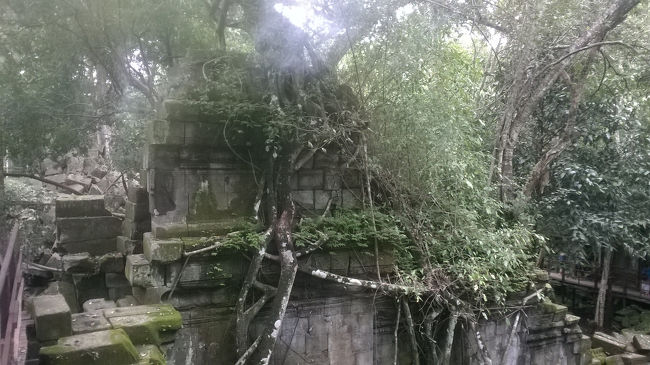 9月はカンボジアの雨季の末頃に雨が多いらしいです。遺跡の中に入ると水が溜まっている。歩くと足元は気をつけて下さい。石上に歩かないように下さい。行けるのところは歩くと安全です。みどりが一年中がきれいな場所でございます。<br />アンコール時代の石切り場がございますが､見に行きたい場合は近くになります。<br />入場券＄5です。中国人の旅行者が一番多いです。<br />一日は300人から1200人の観光客を訪れたそうです。<br />http://skyfkc.blog.fc2.com