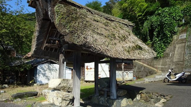 　奥琵琶湖ドライブウエイが開通するまでは、正式な陸路が無かった菅浦地区だ、今も百数個の戸数しか住んでおらず、長男以外は地区を出て生活するというのが、仕来りとか。住戸面積、田畑等から推定される判断でしょう。加えて、恵美押勝の乱がきっかけとなり、廃帝となった淳仁天皇が隠棲したという伝説も生きている、歴史に閉ざされた風景が目の前に開ける。<br />　話は今世紀に戻るが、我が寅さんも第４７作「拝啓車寅次郎様」でマドンナかたせ梨乃と菅浦を散策する。山田組のロケ班と隊長五十嵐さんの大手柄でしょう。そんな風景が今も残る地区内を散策していると、現実と歴史とが微妙に入り混ざったタイムスリップしたような錯覚にはまる。昔は、集落の四隅にあったという一番奥の「四足門」迄行き引き返すと、集落の入口でその一つが修復されている現場に出会わした。こんなシーンは願っても観られ無いだろう。<br />　ここから、海津大崎を過ぎてマキノに出る。何度もお世話になっている「湖里庵」を経営されている「魚治」のある集落です。数軒隣には「吉田酒蔵」という造り酒屋があり、食卓にも吟醸酒が出た。水を大切にする、漁師さんと杜氏さんのコラボレーションが始まります。<br />　前菜は数品、勿論それぞれにほぼ「鮒寿し」が細工されて入っている。前菜のゴリの山椒煮が絶品。季節柄「土瓶蒸し」や「肝吸い」も胃の腑に暖かい。また、鮒寿しのテンプラやチーズ巻も目新しい。御酒が進む。時に女将さんが訪れては、土地のお話し、食材のお話しときめ細やかな親切が嬉しい。<br /> 　家に帰るという愚妻を駅に降ろして、私は今宵の宿へ向かう車では夢見心地でした。