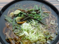 諏訪湖SAで山菜蕎麦を食す。やっぱ，信州は蕎麦ですね。