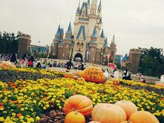 どうでしょう小祭からの東京ディズニーランド☆その２