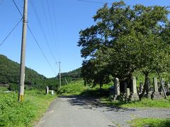 湖西ＭＴＢ行「清水の桜から今津へ　ついでに白谷温泉へも」