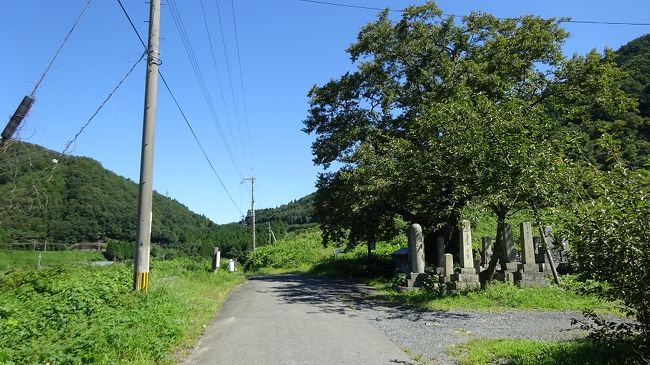 湖西ＭＴＢ行「清水の桜から今津へ　ついでに白谷温泉へも」