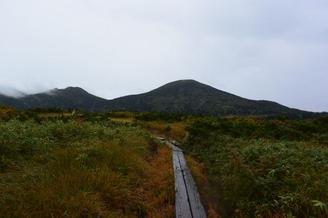 酸ヶ湯温泉に泊まった翌日、再度八甲田山登山に！<br /><br />今回も２年前みたく天候イマイチでしたが風が無かったのが幸いして、ガスっていましたがお気に入りの上毛無岱の階段から見下ろす下毛無岱の池塘群を見ることができました。<br />もう少しすると素晴らしい紅葉の絶景が見れそうです。<br />今回はゴルフ好き・温泉好きの山やらない旦那も標高差があまりないから登りました♪<br /><br />やっと2年がかりで山行できて東京から運転した甲斐がありました♪<br /><br />写真は、八甲田大岳と井戸岳。少し待っていたら霧が切れた時のものです。<br /><br />