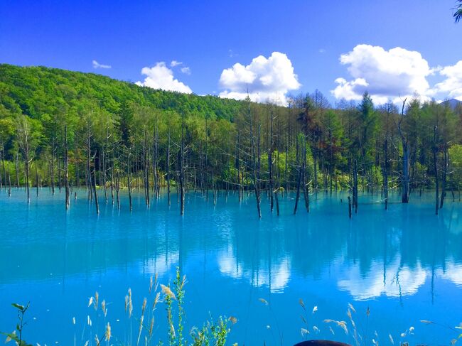 遅めの夏休みで北海道へ!天気がかなり不安定だったけど、奇跡的なタイミングで絶景を見ることができました。aaa