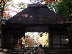 秋はやっぱり京都でしょっ！　５