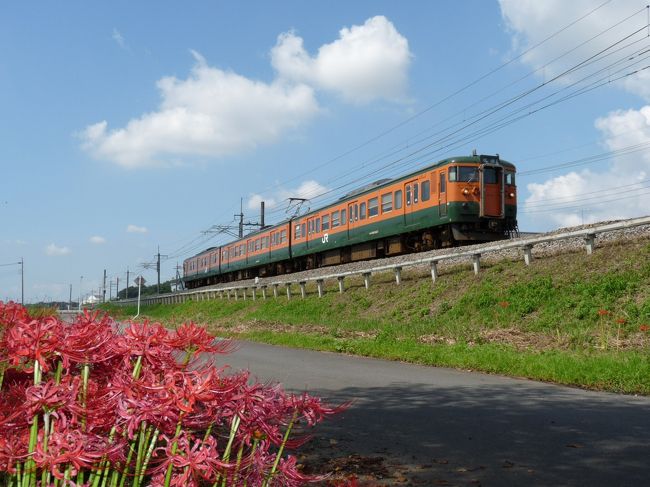 久しぶりに快晴になったので、大久保町の子安観音へ、彼岸花を見に行ってきました。<br />ネットで、足利市の子安観音を検索すると「福厳寺」というお寺が出てきます。これは足利市緑町にあり、立派な観音堂があるとのことです。<br />今回行ったのは、ここではなく、大久保町にある子安観音です。<br /><br />ネット情報によると、子安観音とは「安産や幼児の成長を守護するという観世音菩薩」の一般名称らしいので、各地にあっても不思議ではないんですね。