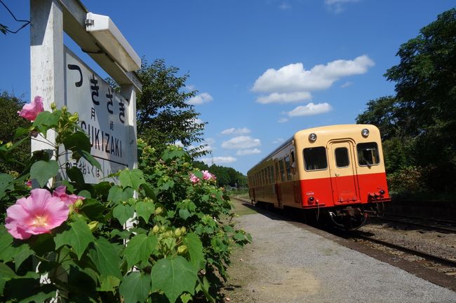 秋を探しに・・・　小湊鉄道