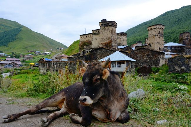 この旅の目的地、ヨーロッパ最後の秘境?世界遺産の村「ウシュグリ」を観光。<br />曇天の薄暗い村を彷徨うと、グルジア正教の賛美歌が聴こえてきた!<br />馬も走る、静かな村は、ヨーロッパ人のトレッキング天国となっていた。<br />果たして、ここは秘境なのか。。。人口以上の観光客が山を目指して訪れている。<br /><br />8/4羽田0:30→5:30Doha7:30→13:30Tbilisi Hotel Tbilisi Central by Mgzavrebi <br />8/5 Tbilisi→Mestia(10h 30L) Hotel Chubu<br />8/6 Mestia→Ushguli(片道2h 往30L復20L) Hotel Chubu ★<br />8/7 Mestia→Kutaisi(4h25L)→Akhaltsikhe(4h12L) Hotel Grand Palace<br />8/8 Akhaltsikhe→Vardzia→Sapara monastery(4h70L) Hotel Grand Palace<br />8/9 Akhaltsikhe→Tbilisi(3h6L) トビリシ旧市街散策 Hotel Sharden Villa<br />8/10 トビリシ旧市街散策 Sharden Villa<br />8/11Tbilisi→Stepantsiminda(Kazbegi) (現地ツアー75+12L) Sharden Villa<br />8/12 トビリシ旧市街散策 空港 20:00→23:59Doha<br />8/13 Doha7:10→22:45羽田