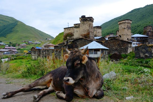 この旅の目的地、ヨーロッパ最後の秘境？世界遺産の村「ウシュグリ」を観光。<br />曇天の薄暗い村を彷徨うと、グルジア正教の賛美歌が聴こえてきた！<br />馬も走る、静かな村は、ヨーロッパ人のトレッキング天国となっていた。<br />果たして、ここは秘境なのか。。。人口以上の観光客が山を目指して訪れている。<br /><br />8/4羽田0:30→5:30Doha7:30→13:30Tbilisi Hotel Tbilisi Central by Mgzavrebi <br />8/5 Tbilisi→Mestia(10h 30L)　 Hotel Chubu<br />8/6 Mestia→Ushguli(片道2h 往30L復20L) Hotel Chubu　★<br />8/7 Mestia→Kutaisi(4h25L)→Akhaltsikhe(4h12L) Hotel Grand Palace<br />8/8 Akhaltsikhe→Vardzia→Sapara monastery(4h70L) Hotel Grand Palace<br />8/9 Akhaltsikhe→Tbilisi(3h6L) トビリシ旧市街散策 Hotel Sharden Villa<br />8/10 トビリシ旧市街散策 Sharden Villa<br />8/11Tbilisi→Stepantsiminda(Kazbegi) (現地ツアー75+12L) Sharden Villa<br />8/12 トビリシ旧市街散策 空港　20:00→23:59Doha<br />8/13 Doha7:10→22:45羽田