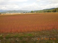 蕎麦の里　幌加内町へ