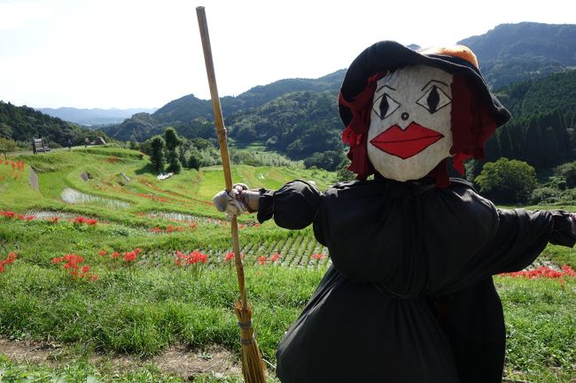 私が、この時期になったら必ず行こうっと思っていた場所があります。<br />今日も朝から、青空。絶好の行楽日和になりました!