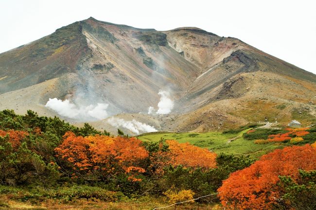 秋の早い大雪山の紅葉を一目眺める旅に出かけました。短い紅葉のピークをとらえるのは難しいのですが、インターネットでの情報では紅葉と天候はOKのようですので、あとは運を天に任せて出発です。<br />旅行社のツアーですが7組14人の小グループですので個人旅行の気分です。