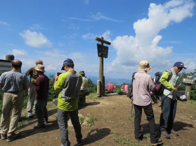 9月21日、敬老の日に連れと大霧山ハイキングを行った。　今回の目的は10月22,23日九重山登山のためのトレーニングと連れの新しい靴の履きなれを行うことであった。　午前7時50分、上福岡発の東武東上線に乗り、下記のとおり小川町迄行き、東秩父の大霧山登山を目指した。　行程、歩行距離、歩行時間、標高差は以下のとおりである。<br /><br />〇行程<br />上福岡ー川越ー小川町ー橋場ー粥新田峠ー大霧山ー旧定峰峠ー定峰峠ー白萩橋―白石車庫ー小川町ー上福岡<br /><br />〇歩行距離<br />　10.5キロ<br /><br />〇歩行時間<br />　5時間20分(昼食時間を除くと正味4時間45分)<br /><br />〇標高差<br />　566m=766-200<br /><br />*写真は大霧山山頂付近の風景<br />