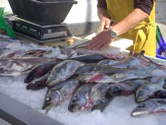 鮮魚を狙うカモメと私　両親とフランス　その4