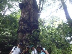 屋久島家族旅行　３日目　天文の森へＧｏ！