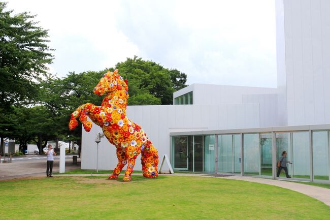 【表紙の写真】十和田市現代美術館のシンボル　「フラワー・ホース」　<br />　　<br />《2015年　夏の青森ツアー　最終章》<br />青森市内にある県美とともに観てみたかった十和田市現代美術館<br /><br />規模は大きくないし、十和田市という少しアクセスが不便な立地であったけれでも、素晴らしい現代美術館でした。<br />目に触れるだけでなく、ちょこっと覗いてみたり、歩いてみたり、触れてみたり（できるのは一部）　青森の県美だけでなく、金沢の21世紀美術館に比べてもこちらの方が好きです！<br /><br />TOWADA ART CENTER<br />(http://towadaartcenter.com/web/towadaartcenter.html)<br /><br />★2015夏の青森旅行シリーズ<br />【1/8】初の『青森ねぶた祭り』<br />　http://4travel.jp/travelogue/11063382<br /><br />【2/8】ねぶた期間の青森ベイエリア周遊<br />　http://4travel.jp/travelogue/11063454<br /><br />【3/8】りんご狩りと八甲田山<br />　http://4travel.jp/travelogue/11063836<br /><br />【4/8】田舎舘町のスター・ウォーズ田んぼアート＆黒石つゆ焼きそば<br />　htp://4travel.jp/travelogue/11063770<br /><br />【5/8】歴史と伝統ある十和田ホテル<br />　http://4travel.jp/travelogue/11056653<br /><br />【6/8】十和田湖遊覧<br />　http://4travel.jp/travelogue/11077379<br /><br />【7/8】奥入瀬渓流と星野リゾート『奥入瀬渓流ホテル』<br />　http://4travel.jp/travelogue/11056645<br /><br />【8/8】十和田市現代美術館　本当に良かった<br />　http://4travel.jp/travelogue/11056643