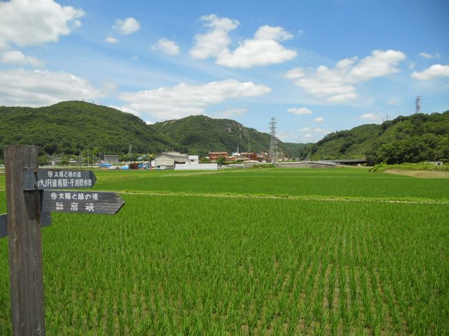 神戸市北区のJR道場駅と神戸電鉄二郎駅を結ぶ『太陽と緑の道・コース2』を往復してみました。<br /><br />・往路（上級者向けコース）：約7.0km<br />・復路（一般向けコース）　：約5.0km