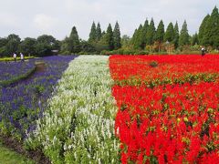 くまもん植民地とおんせん県のたび６