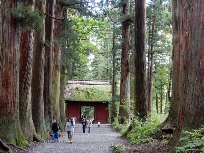 大学時代のスキー仲間とその家族との恒例行事で、冬のアジトとして20年近く通い続けている戸隠での合宿です。<br />大人12人、子供10人と我がクラブ史上最大の合宿(OB合宿として)となりました!<br />宿泊は10年以上、我々がアジトにしているペンション。今年の冬は大きな大会が2つも開催されることが決まってしまった為、既に1~2月はほぼ満室…。何とか予約をねじ込ませてもらいましたが…。<br />オーナー夫婦は気さくな方で、奥さんの手料理はとても美味しく、居心地のいいペンションです。<br />ここまで書いておきながら申し訳ありませんが、アジトとして利用している故、公開は控えさせていただきますm(_ _)m<br />今回の旅行記は、1日目の戸隠トレッキングです!!<br /><br />スケジュールは<br />9/19 前乗りして、戸隠トレッキング<br />9/20 戸隠キャンプ場でBBQ & 牧場遊び<br />9/21 男3人 長野京急カントリークラブでゴルフ<br /> 他のメンバーは、ちびっこ忍者村で子供達を遊ばせる予定でしたが…。<br /> 朝9時から1時間並んでもチケットが買えないほどの大人気ぶりであえなく断念…。戸隠蕎麦を食べて、奥社参拝。<br /> この間、どこもかしこも大混雑で色々大変だったそうです(^^;;<br />9/22 飯綱東高原で2時間ぐらい子供達を遊ばせ、ぶどう狩りへ。<br /> 我々のアジトの奥さんに、通常ぶどう狩りはしていないという果樹園さんを紹介してもらう。<br /><br />