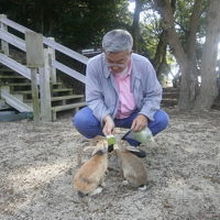 旅立ちはウサギの島から　　中国地方の旅　広島編