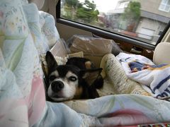 リベンジ！道の駅めぐり車中泊旅行！今回は道東だよヽ(^。^)ノ 1日目