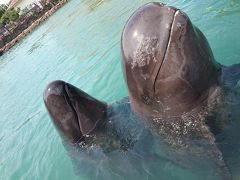 2015年シルバーウィー那智勝浦編