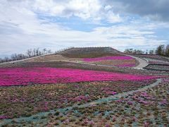 前から行きたかった茶臼山の芝桜でしたが（空撮あり）