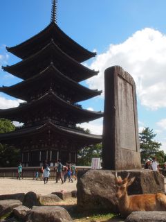 ★街十色～ 奈良・大阪 秋のいろ① 　奈良市ゴールデンルート篇★ 