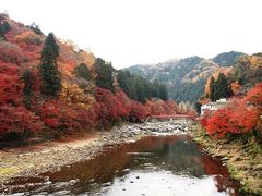 愛知の紅葉１