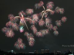 初めての東京湾大華火祭