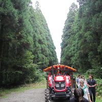 第３０回田沢湖マラソンを挟みつつ、岩手観光を楽しんできました。