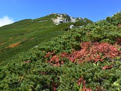 紅葉も！秋晴れに輝く空木岳　駒石にも登って♪　池山尾根