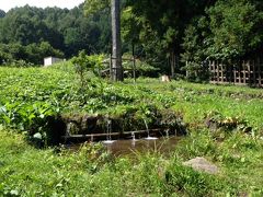 温泉旅☆きれいな諏訪の地でパワーチャージ