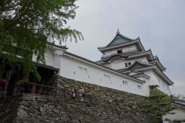 和歌山訪問2015①(和歌山城、紀三井寺、紀州東照宮)