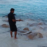モルディブ　バア環礁リーティービーチの旅