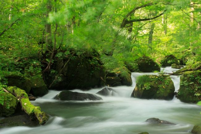 観て食べて登って歩いて満喫した東北旅行４日間の旅～其の四、青森県　奥入瀬渓流　～渓流散策の旅～