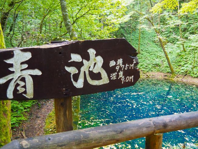 大阪から青森の恐山に行く途中、十二湖に立ち寄った。<br /><br />エメラルドグリーンの池や海は多いけど、青池のコバルトブルーのような色はあまり見かけないように思う。<br />近いのは、深い海の色かなと。けれど、微妙に透き通っている様子は、なかなか見れないかと。オススメです。<br />