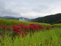 嵐山・嵯峨野をチャリで走る