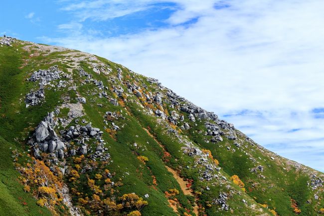 シルバーウイーク、東北旅行で蔵王と八甲田山の紅葉を見てから、ゆっくり紅葉鑑賞がしたい！という気持ちが高まってきました。<br />それなら、前から行ってみたかった千畳敷カールがもうすでに紅葉の見頃らしいので、渋滞する前に神奈川から弾丸で行ってきました！<br /><br />参考にしたURL<br />http://www.kankou-komagane.com/alps/