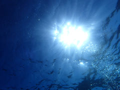 沖縄 石垣島4日間 ⑥