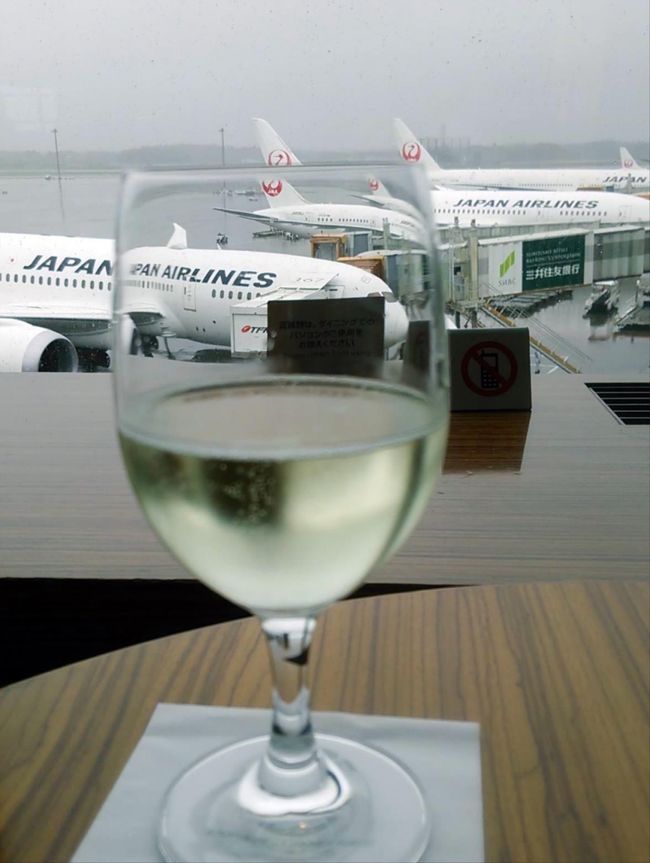 15秋ついにインド 2 Jal787プレミアムエコノミーでインド デリーへ デリー インド の旅行記 ブログ By こりすさん フォートラベル