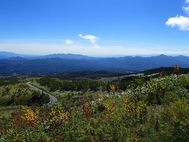 ※本当は温泉目的ですが、温泉は撮影禁止のために写真がなく、テーマは「山・高原」にしました。<br /><br />去年も今年も夏は息子が休めず、一緒にグアムに行けませんでした。その他のプチ旅行も、最近は夫と二人ばかり。思い返すとこの1年半、家族3人でお泊りしてない！ということで、SWには温泉へ行こうと思いました。<br /><br />最初は36年前にスキーで骨折をした痛い思い出の地（笑）・志賀高原に行くつもりで予約していたのですが、4トラで私が師と仰ぐゆういちろうさんが行かれた万座温泉旅行記を拝見して、すっかり気持ちは万座温泉にシフトチェンジ。そこからプランを練り直し、キャンセルチャージがかからないギリギリの日に志賀高原をキャンセル（ごめんなさい；；）、もう旅行日の1週間前で国内大手旅行サイトでは既に取れなくなっていた「万座高原ホテル」をAgodaでなんとか確保。<br /><br />そんなわけで、万座高原ホテルは一番価格帯の安いお部屋となってしまいましたが、結果は大満足。温泉に関しては、系列の「万座プリンスホテル」よりも高原ホテルの方が、満足度が高かったです。<br /><br />3日間、万座温泉に浸かったらなんとまぁ、お肌しっとりすべすべ。う〜〜もうほんと、ここに住みたいぐらいです。<br /><br />観光についてはあまりマメじゃない我が家のこと、それでも男性陣を追い立てて2日目に渋峠ロマンスリフトに乗って横手山へ、3日目の帰りがけに白根山ロープウェイ、本白根コマクサリフトに乗りました。楽な道ばかりを選ぶ一家です＾＾；；<br /><br />本白根山から眺めた、火山警戒レベル2の白根山の勇姿は心に残りました。