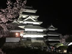 松本城の夜桜