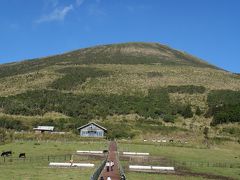 ★八丈島　ヘゴの森に魅せられて　その1 ★